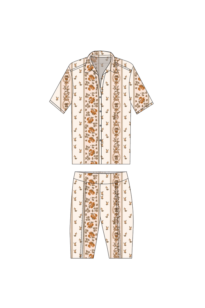 Set Apricot
